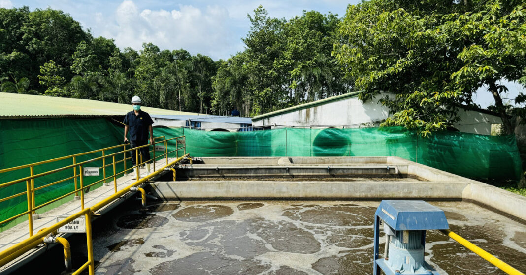 Đồng Nai chú trọng cải thiện môi trường trong chăn nuôi