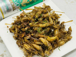 camarão especial voador 4.jpg