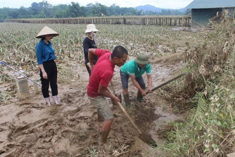 Xuất cấp hạt giống cây trồng hỗ trợ Lào Cai khôi phục sản xuất