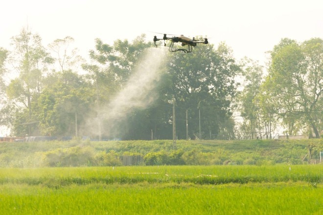 Thiết bị máy bay không người lái phun thuốc bảo vệ thực vật tại huyện Đông Anh (Hà Nội).