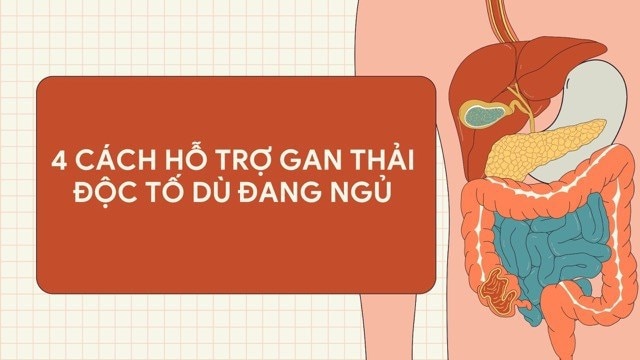 4 cách thải độc gan tốt ngay cả khi đi ngủ. Ảnh ghép: HƯƠNG SƠN