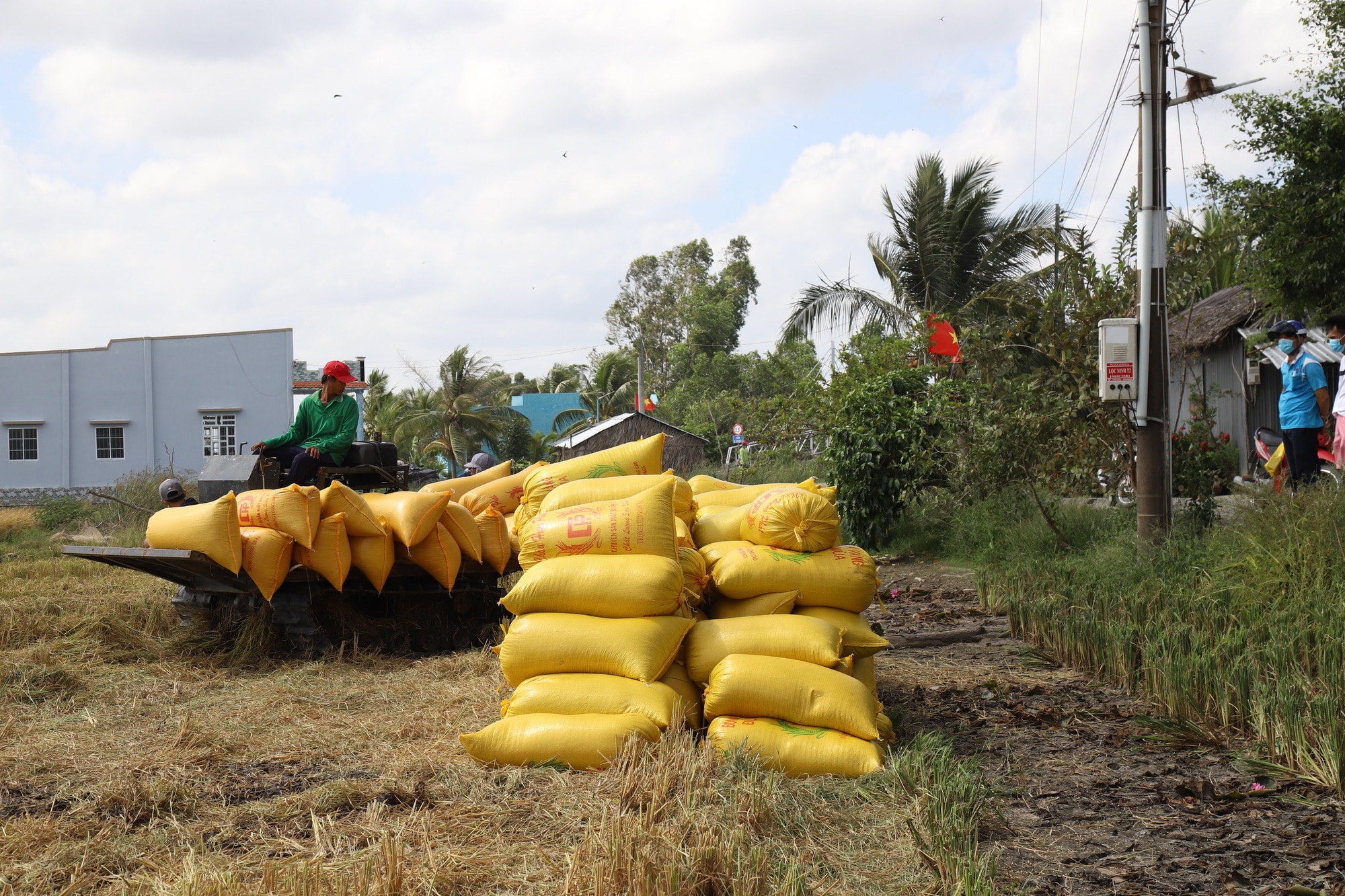 Ấn Độ nới lỏng xuất khẩu gạo, Philippines mua thêm nửa triệu tấn, cuối năm gạo Việt Nam sẽ ra sao? - Ảnh 1.