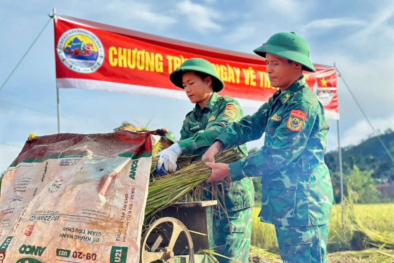 Пограничники помогают людям собирать рис в Национальный день - Vietnam.vn