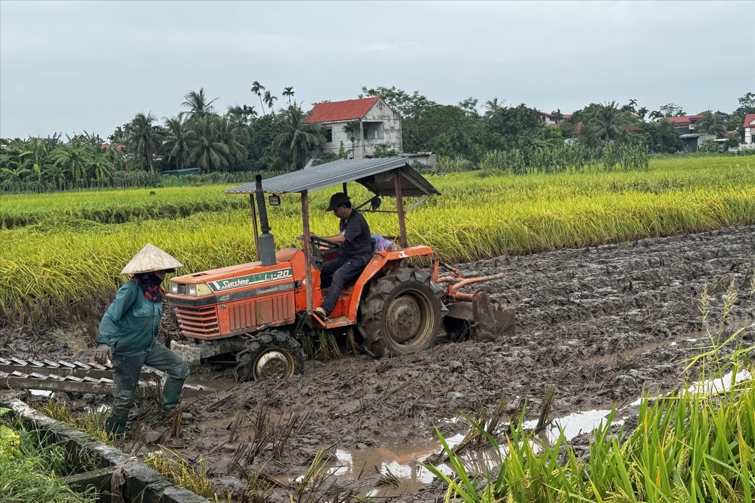 Đến nay, các tỉnh, thành phố có thiệt hại do ảnh hưởng của bão số 3 vừa qua đã và đang tập trung khôi phục tái thiết mọi mặt sau bão