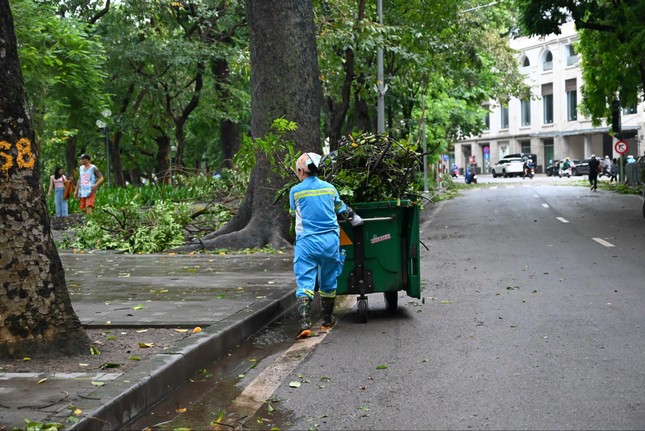 Hà Nội: Căng mình dọn dẹp sau bão ảnh 1