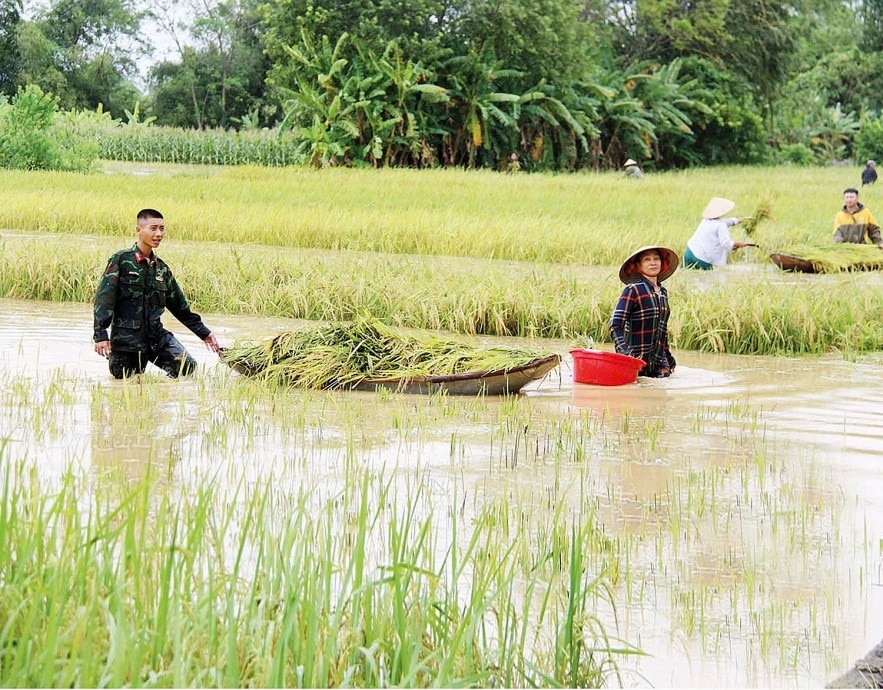 Cơn bão số 3 đã gây thiệt hại nặng nề cho sản xuất nông nghiệp (Ảnh minh họa). 