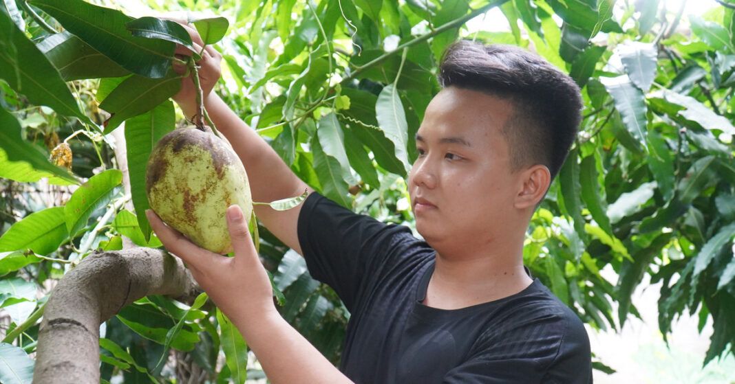 Cậu bé buồn tủi thành chàng trai của giải thưởng sáng tạo, đậu 3 trường đại học