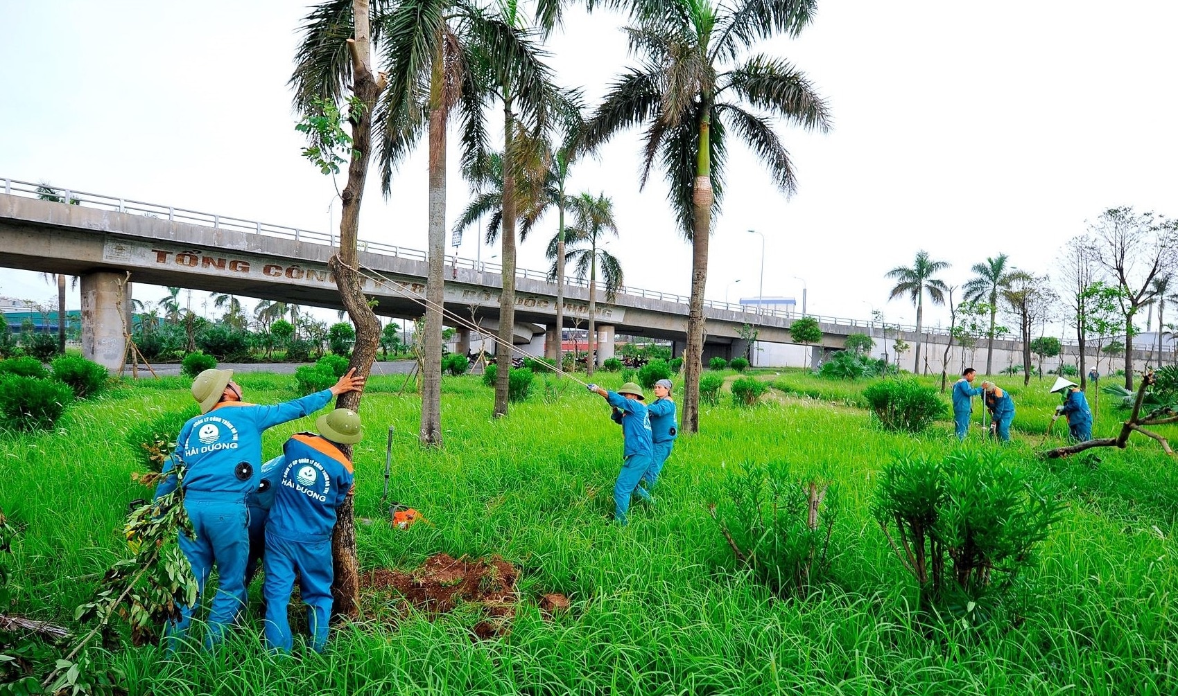 Hải Dương: Chống dựng, phun dinh dưỡng để phục hồi cây xanh gãy đổ sau bão- Ảnh 1.