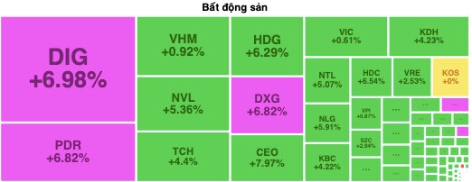 DXG, PDR, DIG chạm trần, cổ phiếu bất động sản bốc đầu tăng- Ảnh 1.