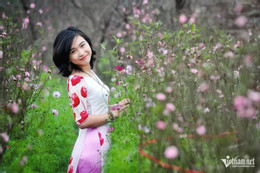 w garden 9135 13521.jpg