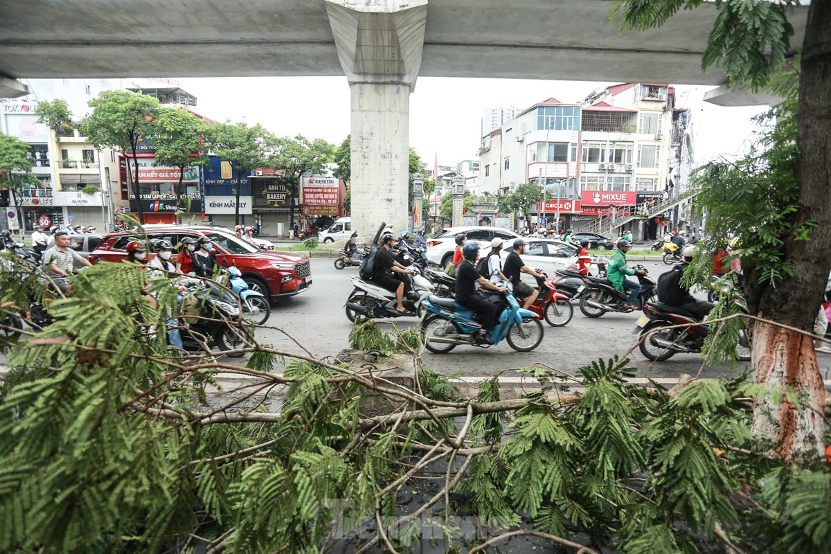 Đường phố Hà Nội vẫn ngổn ngang cây đổ, người dân 'vượt ải' ùn tắc đến công sở ảnh 1