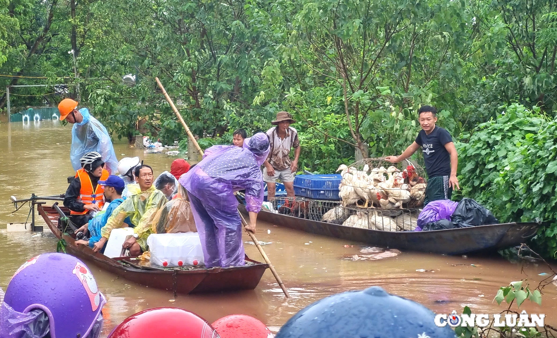 hoi nha bao viet nam keu goi ung ho khac phuc nhung thiet hai do con bao so 3 gay ra hinh 1