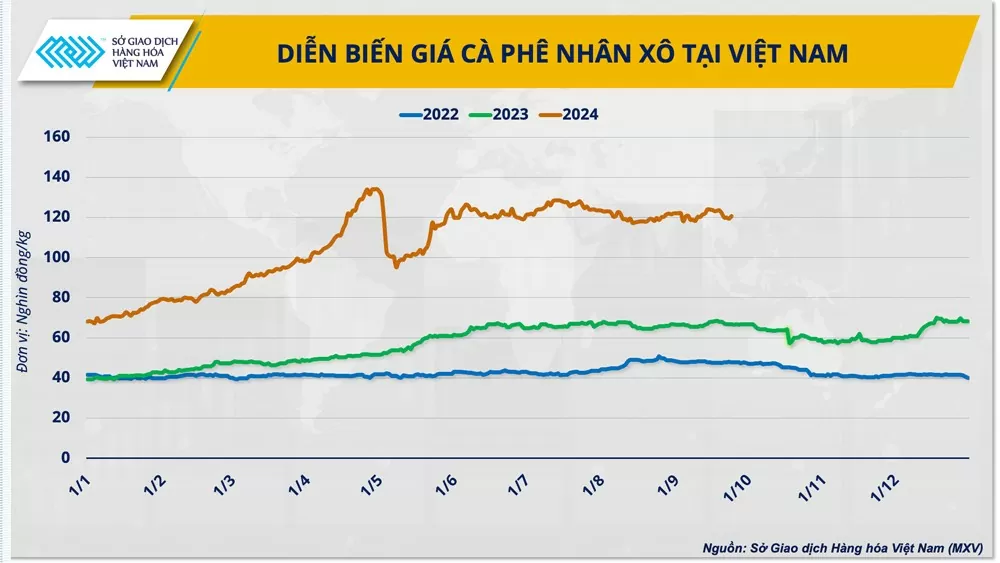 Hướng đi giúp cà phê Việt vững bước trên 'hành trình giá’ mới