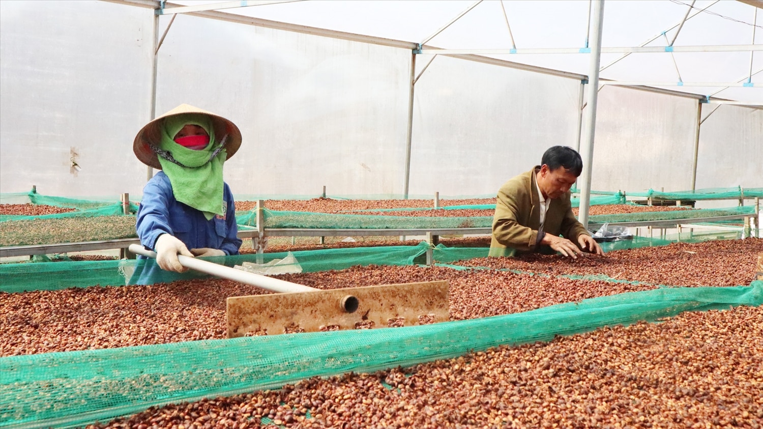 Chính quyền các địa phương ở huyện Di Linh chủ động liên hệ với Ngân hàng Chính sách xã hội để hỗ trợ nguồn vốn vay ưu đãi giúp người dân phát triển kinh tế.