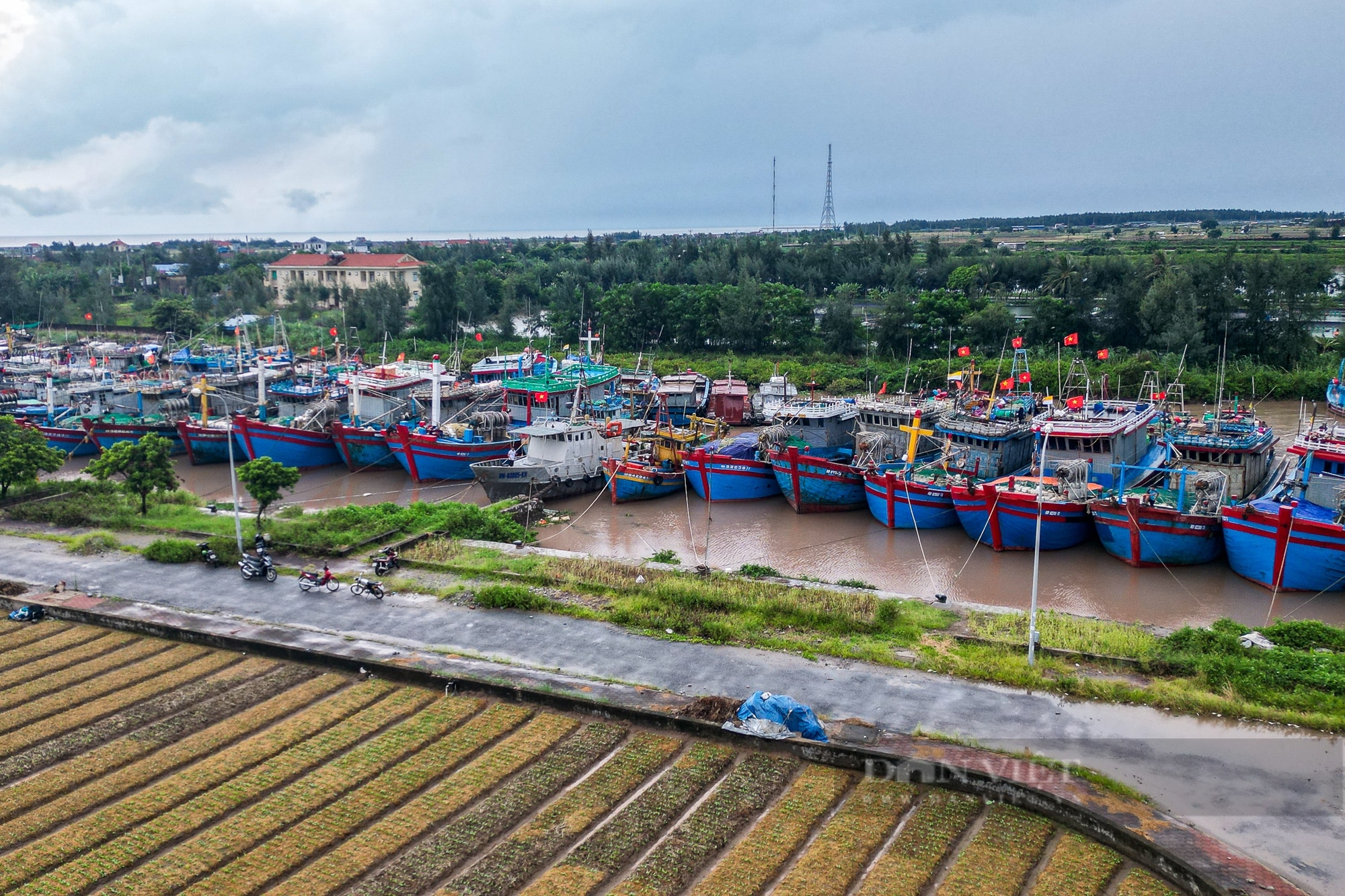 Ngư dân Nam Định đằm mình trong nước để chằng buộc tàu thuyền đối phó siêu bão Yagi- Ảnh 1.