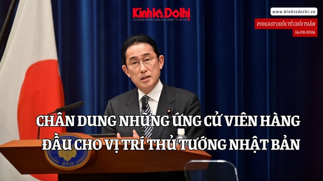 Podcast: chân dung những ứng cử viên hàng đầu cho vị trí Thủ tướng Nhật Bản