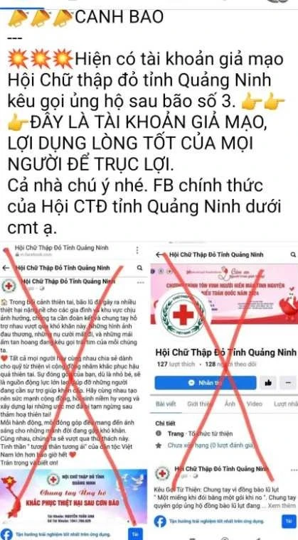 mạng.jpg