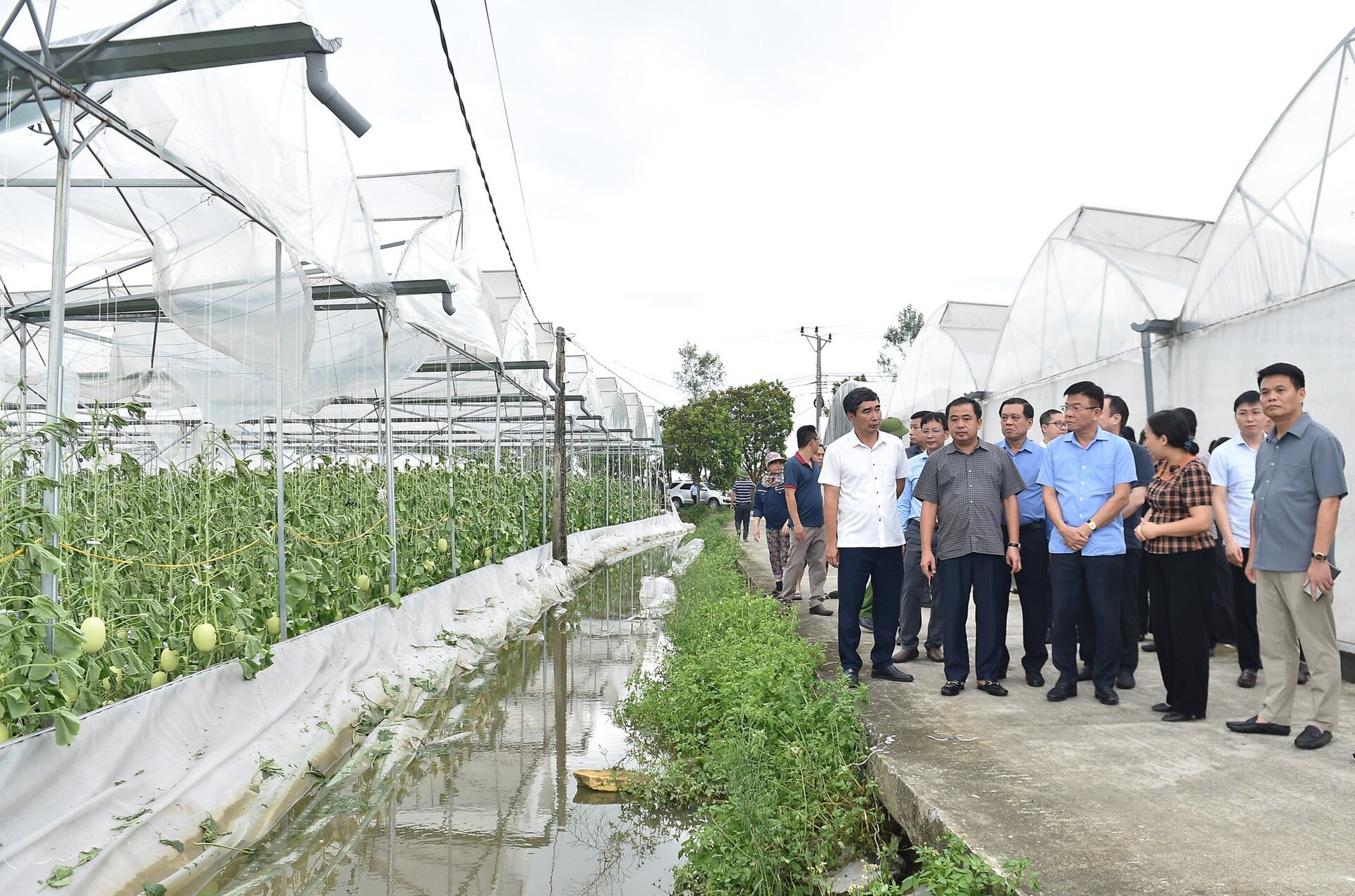 Phó Thủ tướng Lê Thành Long kiểm tra công tác khắc phục hậu quả bão số 3 tại Hải Dương- Ảnh 1.