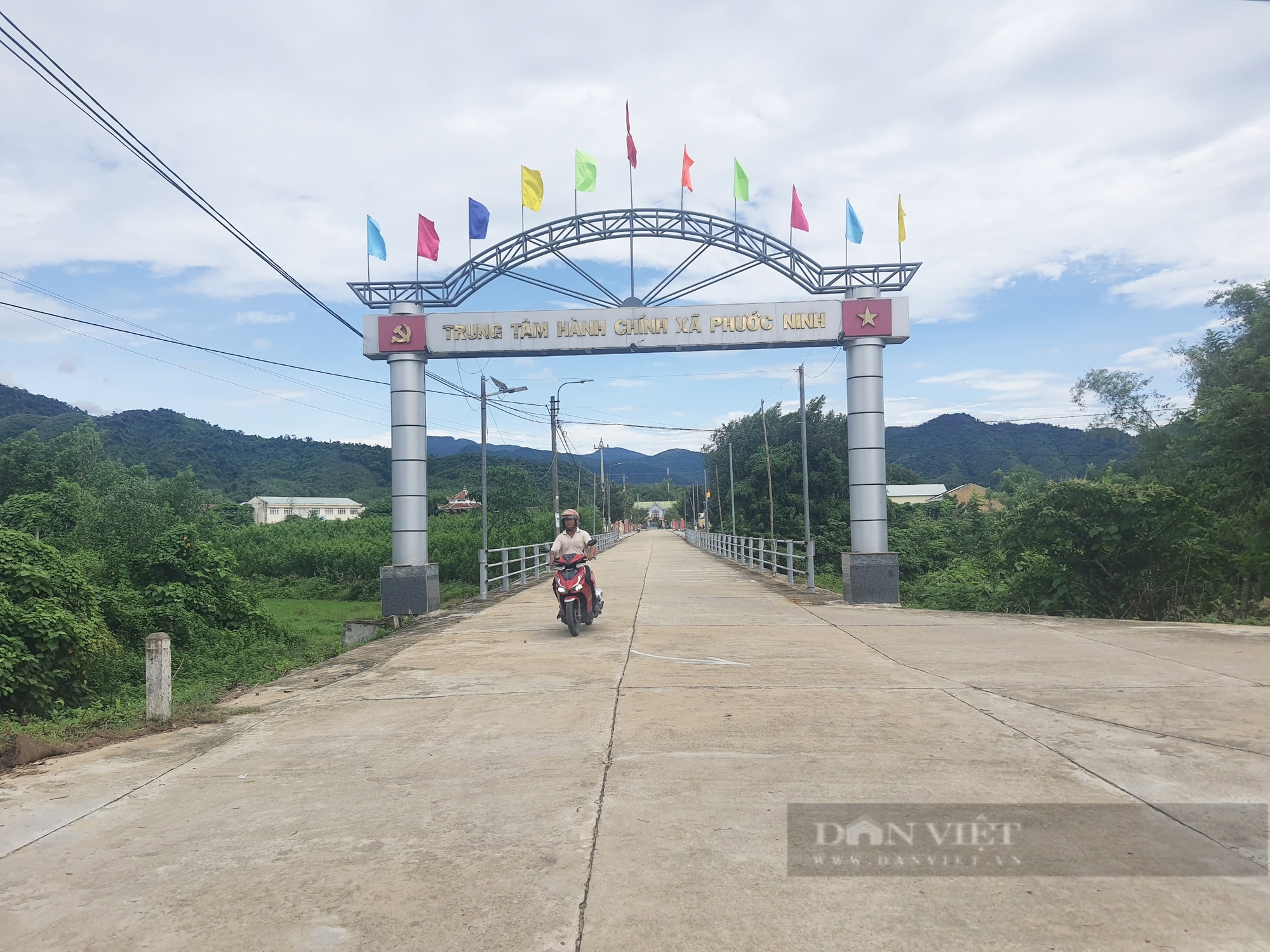 Quảng Nam: Phước Ninh tập trung nâng cao thu nhập cho người dân, tạo đà xây dựng xã nông thôn mới nâng cao- Ảnh 1.