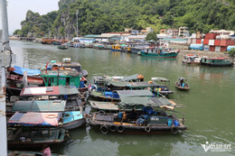 डब्ल्यू-फोटो 4.jpeg