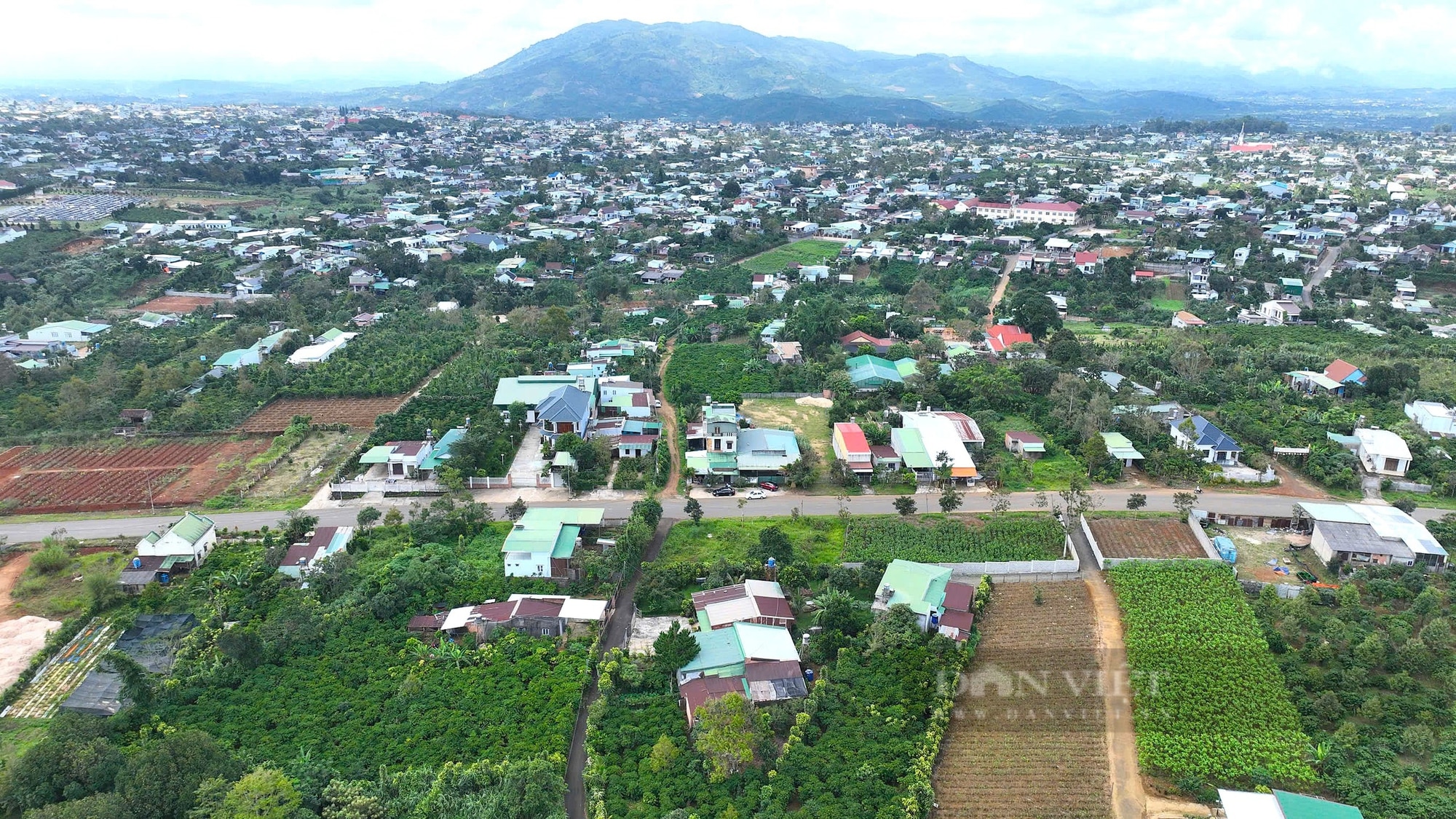 Hàng tỷ đồng để tạo sinh kế, bò giống trao tận tay người nghèo ở TP. Bảo Lộc (Lâm Đồng) - Ảnh 1.