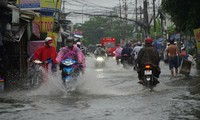 Mưa dông gia tăng trong tuần mới ở TPHCM và Nam bộ