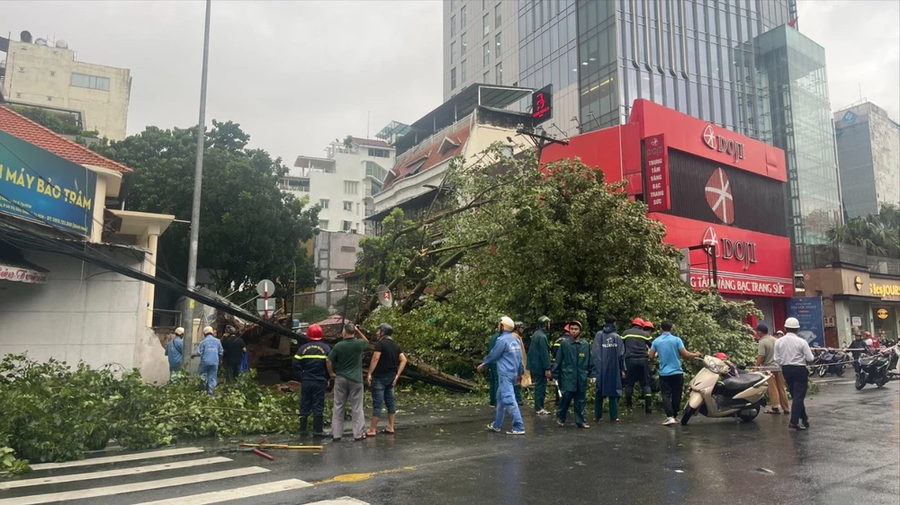 TPHCM triển khai phương án, biện pháp ứng phó ảnh hưởng bão số 3