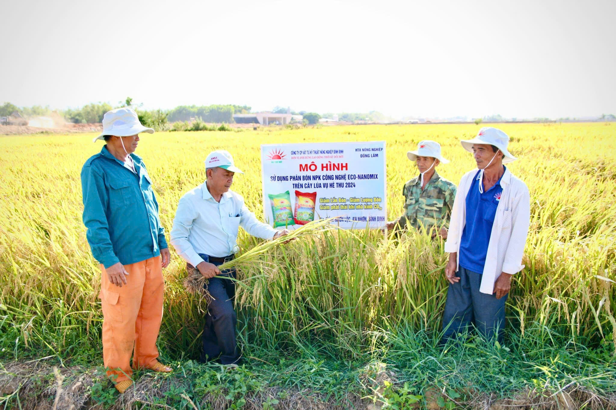 Thấy được loại phân bón hiệu quả cao, nông dân mạnh dạn ứng dụng cho hai vụ liên tiếp - Ảnh 1.