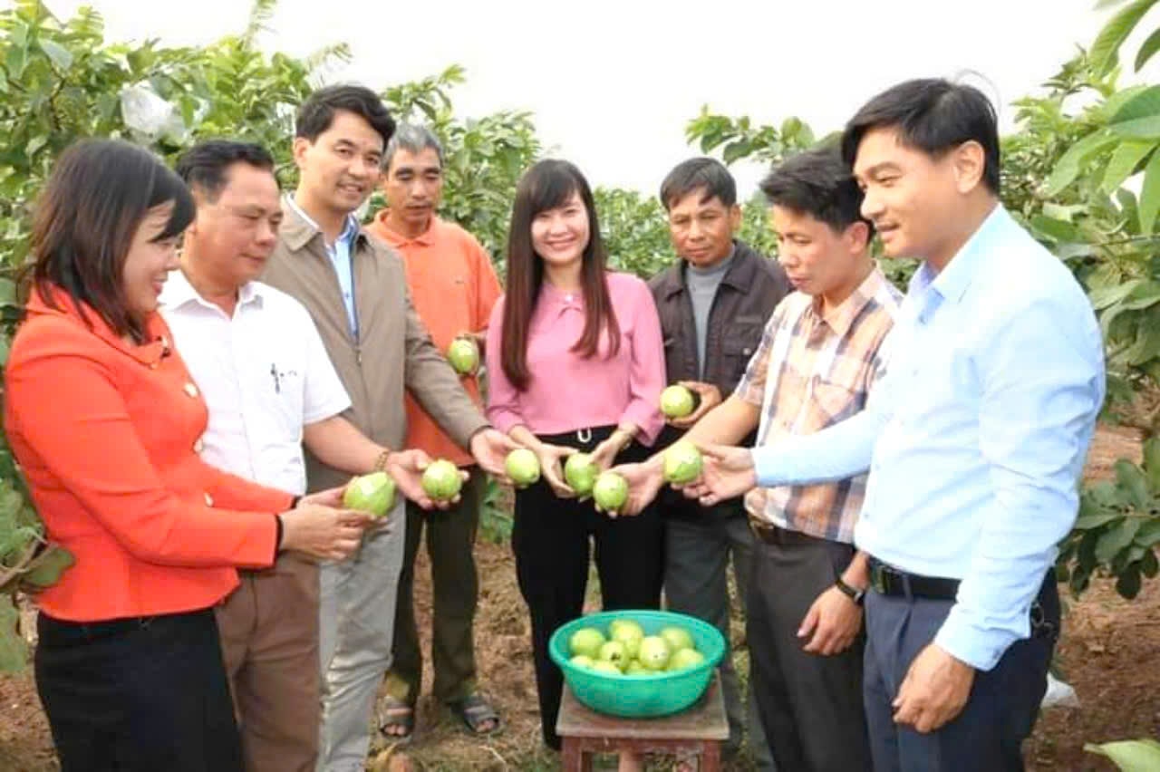 Một hợp tác xã ở Ninh Bình trồng cây rau, quả các loại đạt doanh thu 600 triệu đồng/ha/năm - Ảnh 1.