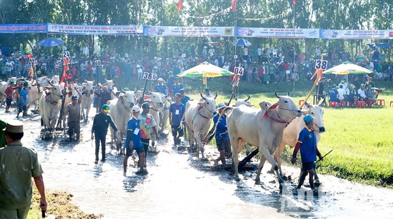 tung bung le hoi dua bo bay nui 2024 hinh 1