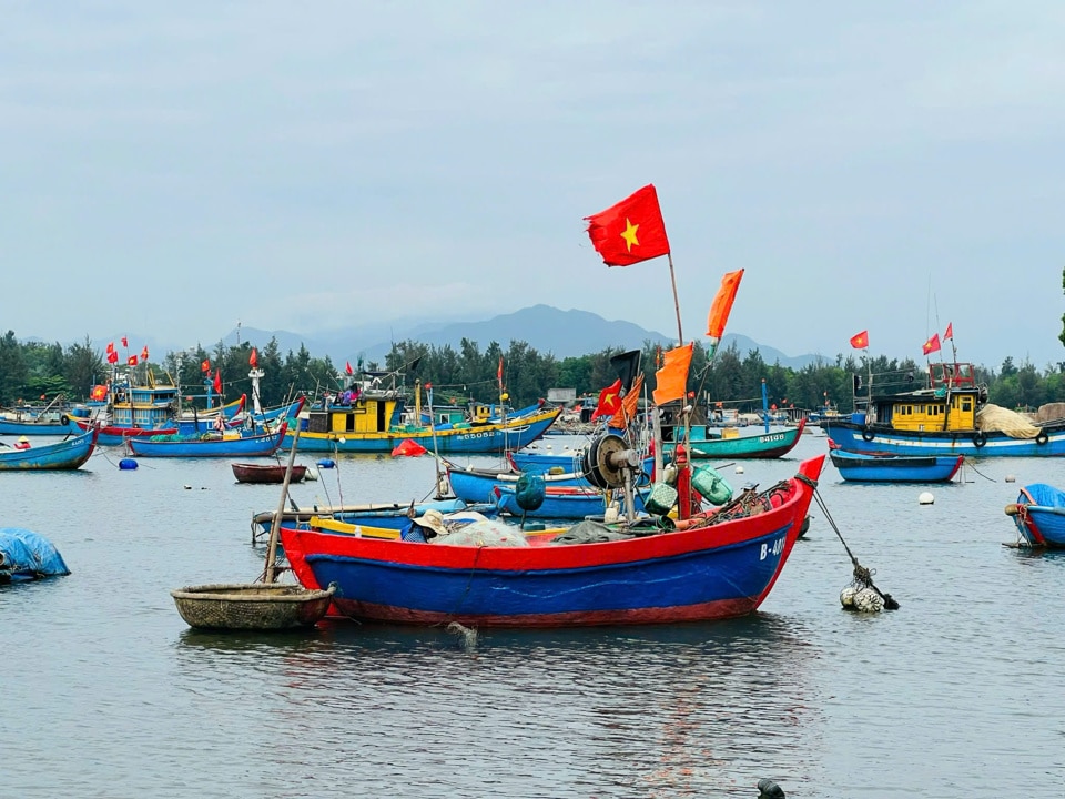 Nghiên cứu phương án xây dựng cảng cá sông Trà Bồng là cảng cá vệ tinh thuộc cảng cá Sa Cần.