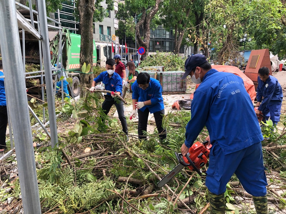 Đoàn viên thanh niên Quận Hai Bà Trưng phối hợp công nhân Công ty Công viên cây xanh Hà Nội dọn dẹp cây xanh gẫy, đổ do bão số 3 trên địa bàn