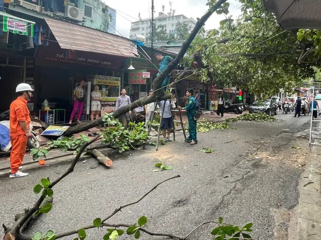 Hà Nội chạy đua với thời gian dựng lại hơn 4.000 cây xanh gãy đổ