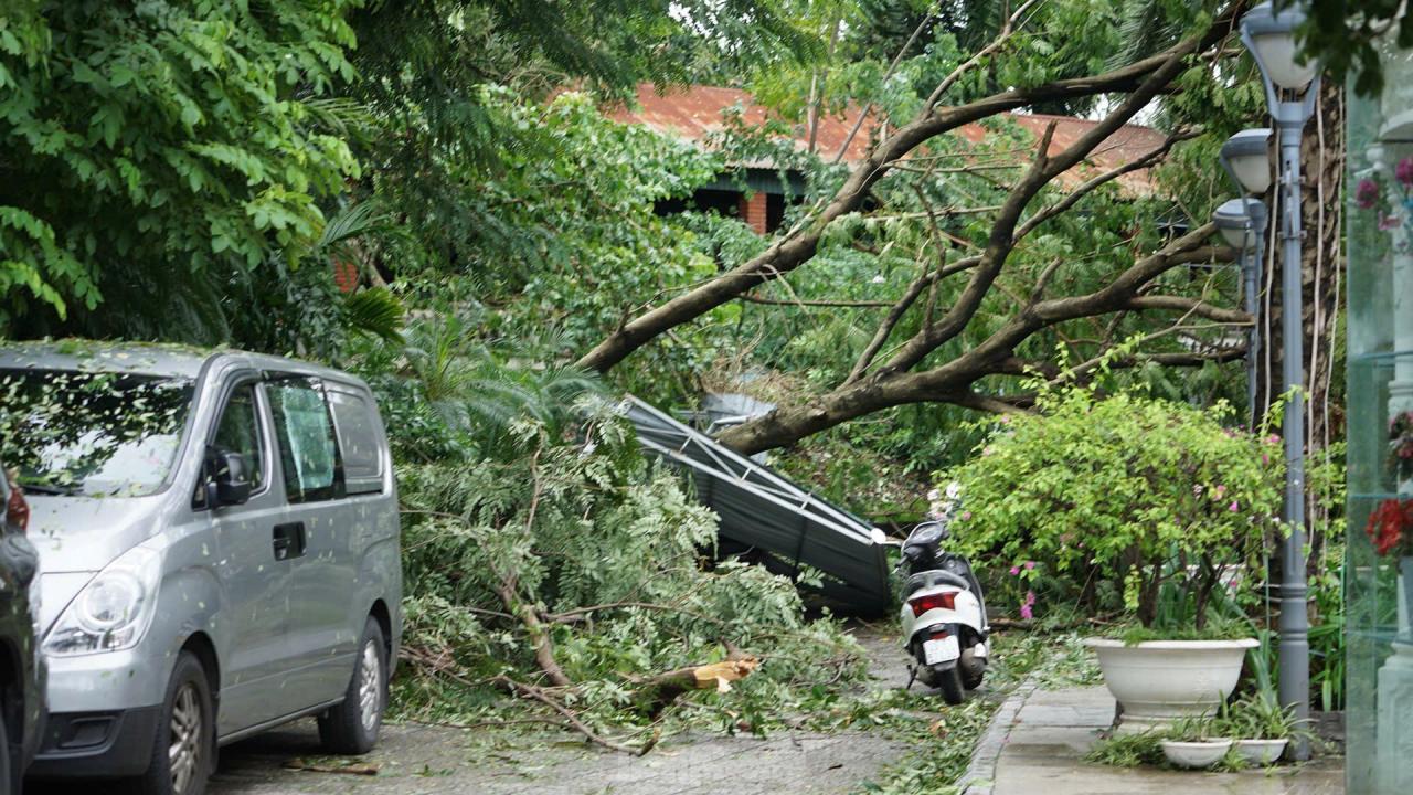 Hàng loạt công viên tại Hà Nội ngổn ngang cây gãy đổ sau bão Yagi