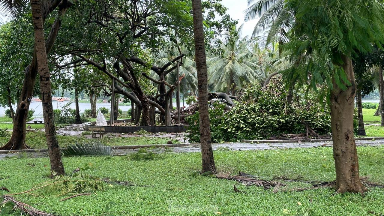 Hàng loạt công viên tại Hà Nội ngổn ngang cây gãy đổ sau bão Yagi