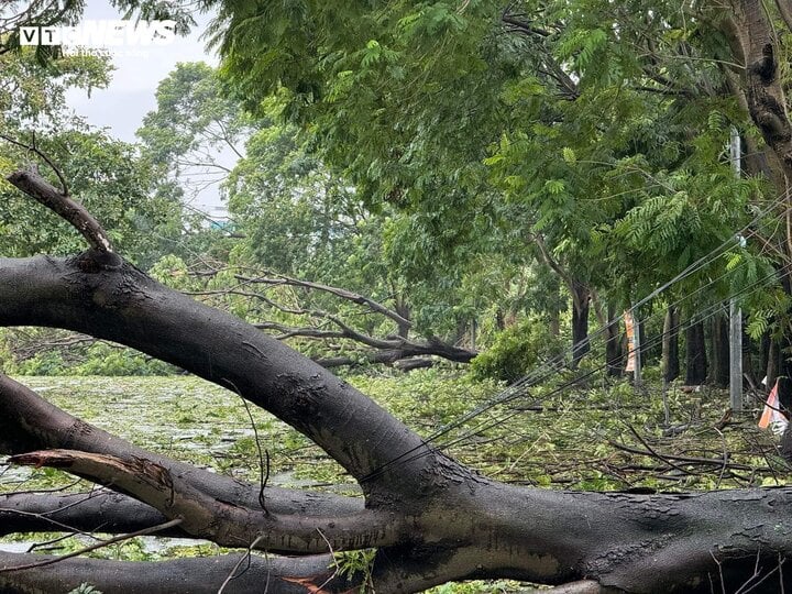 Sân Mỹ Đình khắc phục hậu quả bão Yagi, kịp tổ chức trận Việt Nam - Thái Lan