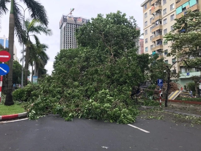 Thủ tướng: Kịp thời xử lý các vấn đề liên quan đời sống người dân sau bão