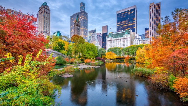 Vẻ đẹp bốn mùa rực rỡ tại Central Park, New York- Ảnh 3.