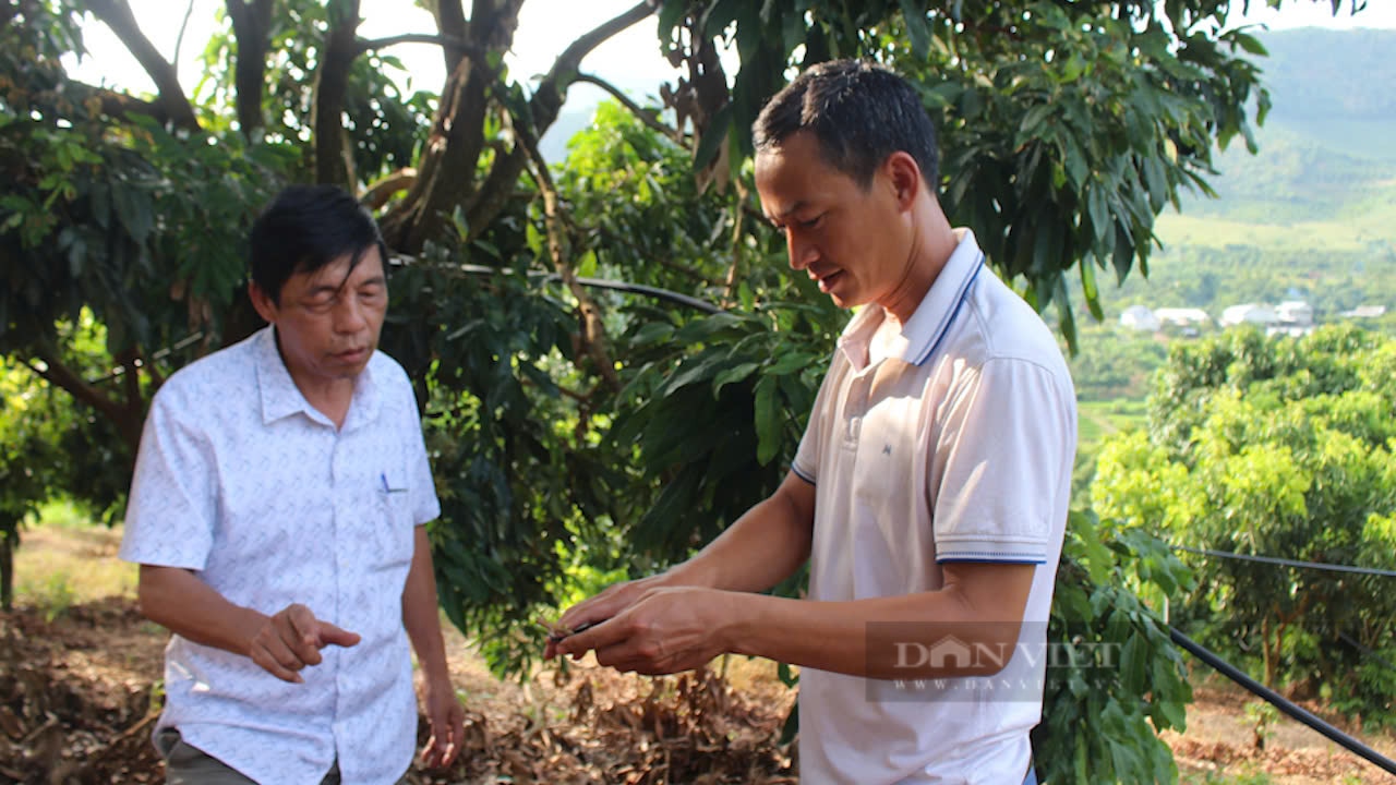 “Nông dân Việt Nam xuất sắc 2024” Mong muốn có thêm nguồn vốn mở rộng sản xuất - Ảnh 4.