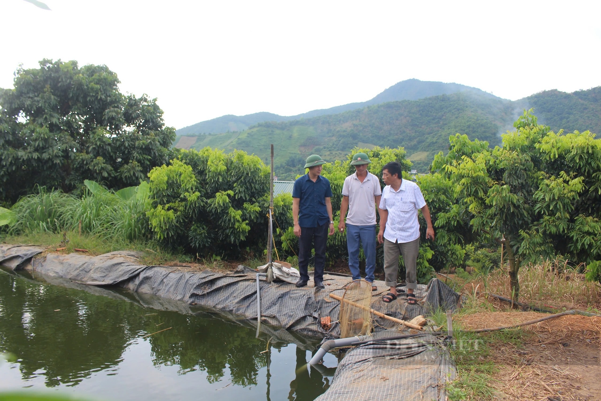 “Nông dân Việt Nam xuất sắc 2024” Mong muốn có thêm nguồn vốn mở rộng sản xuất - Ảnh 3.