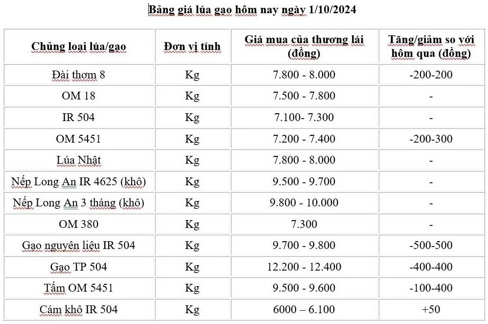 Giá lúa gạo hôm nay 1/10/2024: Xu hướng giảm, xuất khẩu giữ mức ổn định