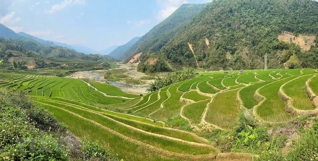 Mường Tè phủ một màu xanh mướt tạo nên một cảnh quan kỳ vỹ mà ít nơi nào có được.