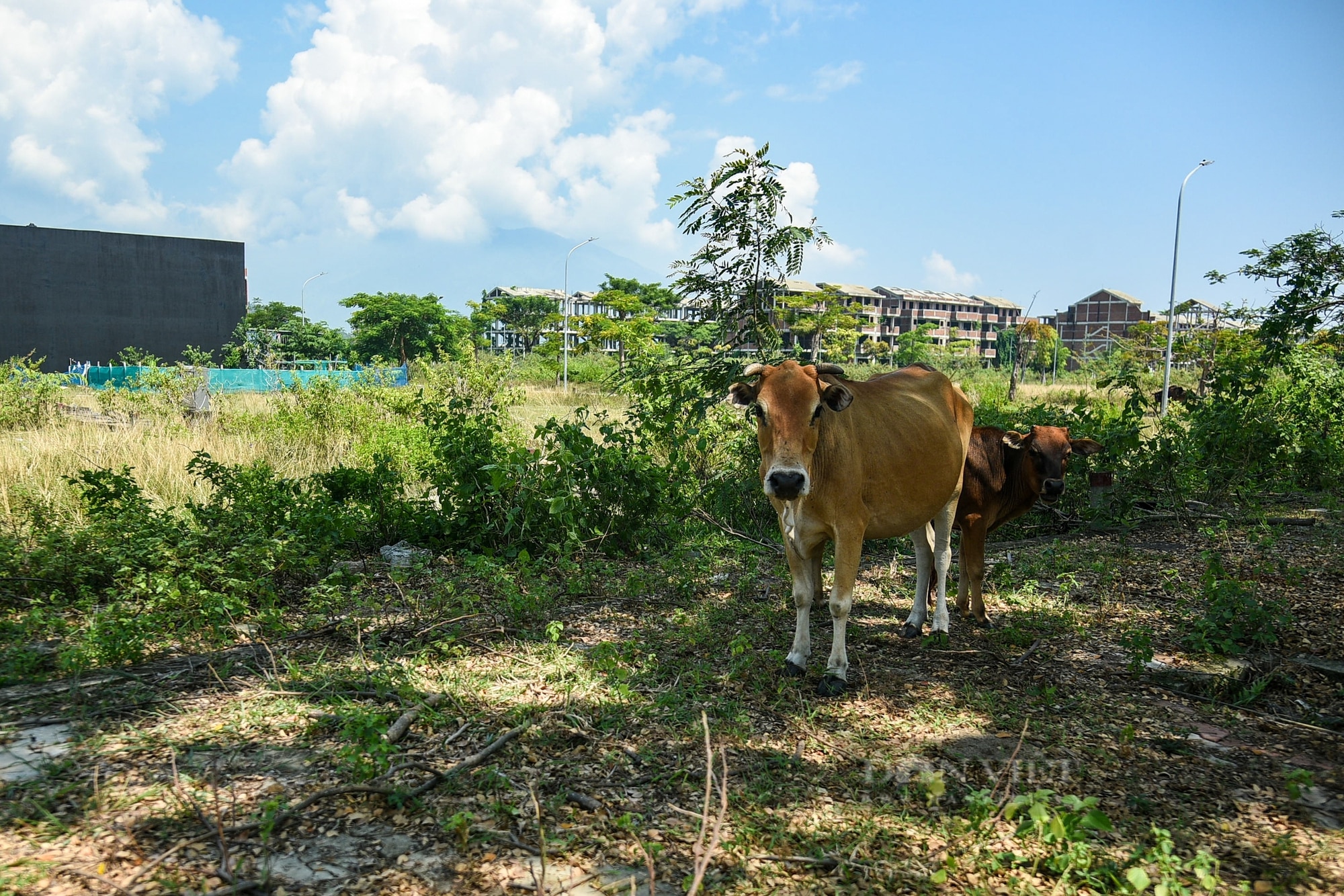 Dự án Golden Hills City ở Đà Nẵng rộng gần 400 ha bị bỏ hoang, thành khu đô thị 