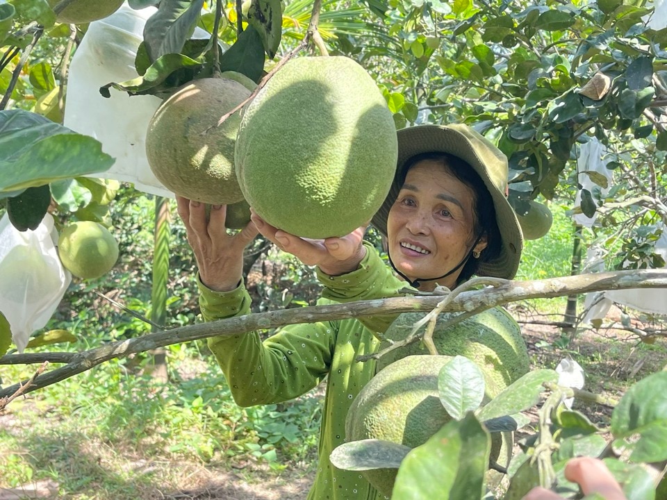   Các Chương trình MTQG được lồng ghép thực hiện để tăng hiệu quả công tác giảm nghèo