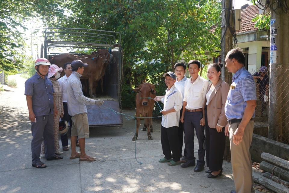  Chính quyền thị trấn Chợ Chùa trao hỗ trợ bò giống cho hộ nghèo