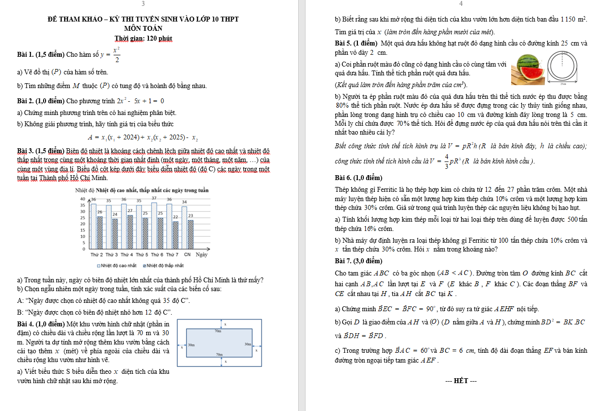 TP.HCM công bố đề thi tham khảo lớp 10 các môn toán, ngữ văn và tiếng Anh- Ảnh 2.