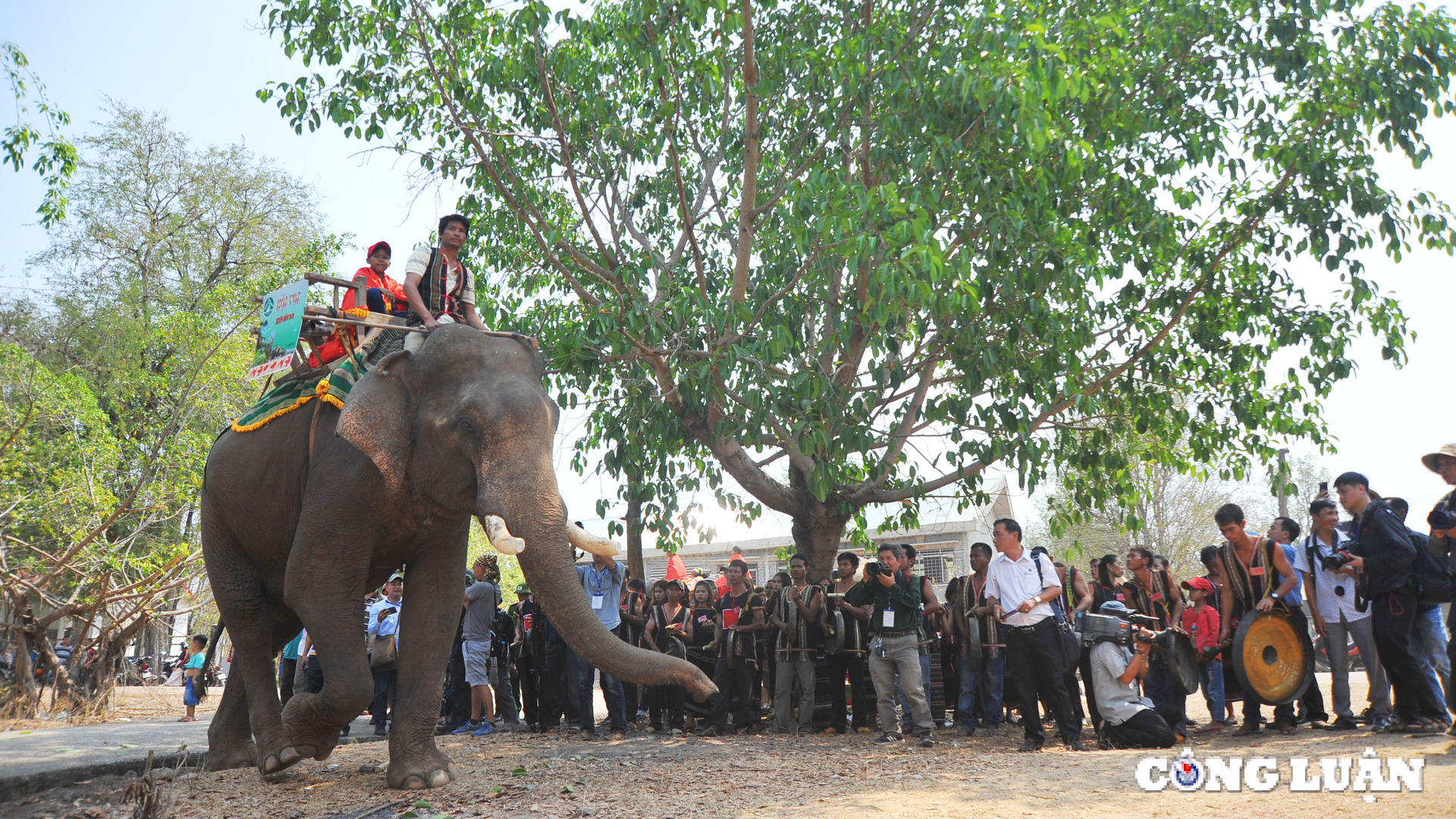 dak lak le hoi ca phe buon ma thuot lan thu 9 se dien ra vao thang 3 2025 hinh 3