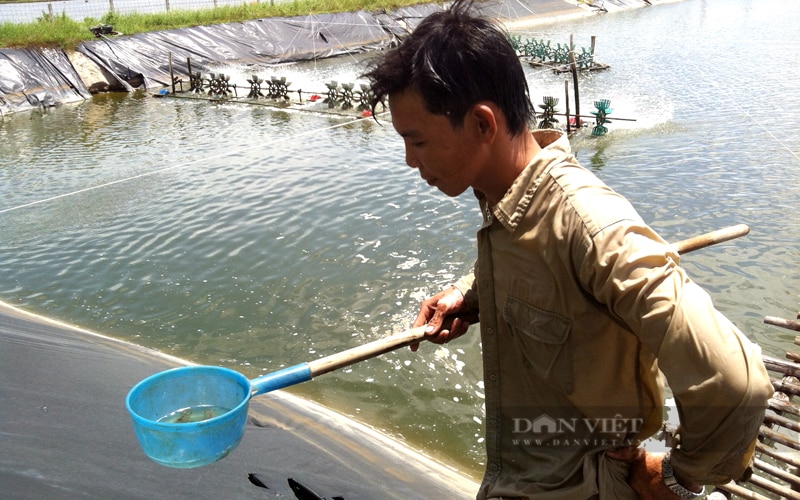 Nhiều công ty, thương lái tiếp thị thuốc thú y thủy sản cho hộ nuôi, trốn tránh sự quản lý của ngành chức năng - Ảnh 3.