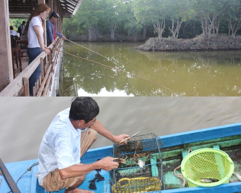 Câu cá, đặt cua trong tour du lịch trãi nghiệm (Hoàng Nam)