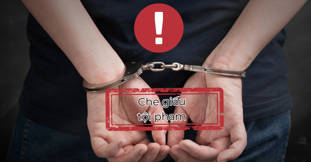 Vụ 'chuyến bay giải cứu' và chuyện nguyên cán bộ công an che giấu tội phạm